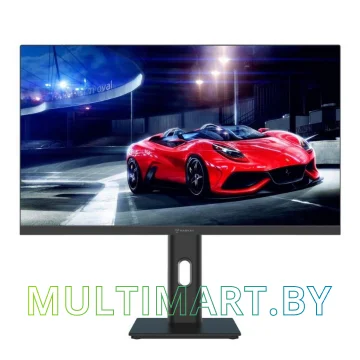 Монитор Raskat I24F10DAP